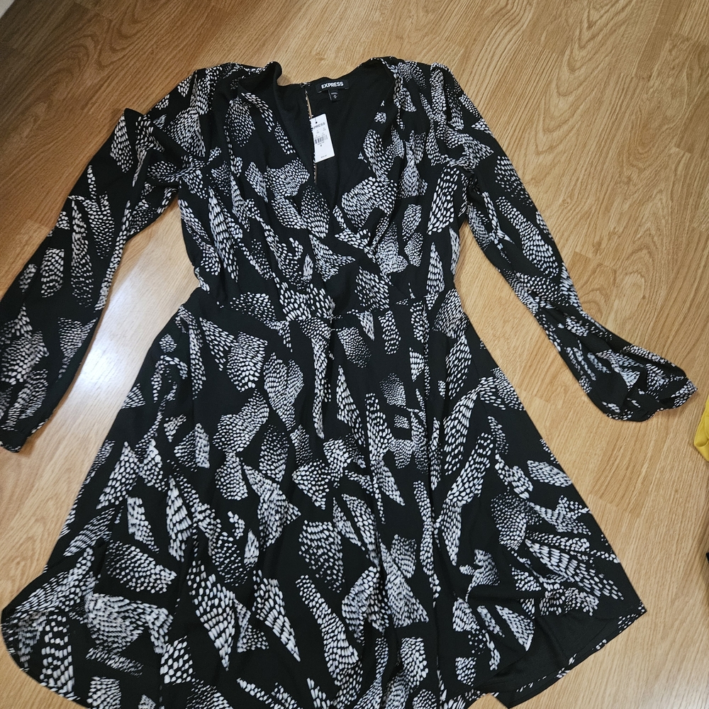 Express Black and White Dress
